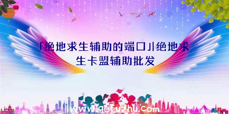 「绝地求生辅助的端口」|绝地求生卡盟辅助批发